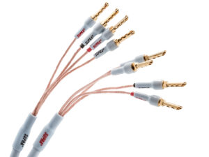 XL ANNORUM BI-AMP COMBICON
