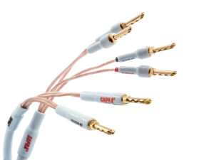 XL ANNORUM BI-WIRE COMBICON